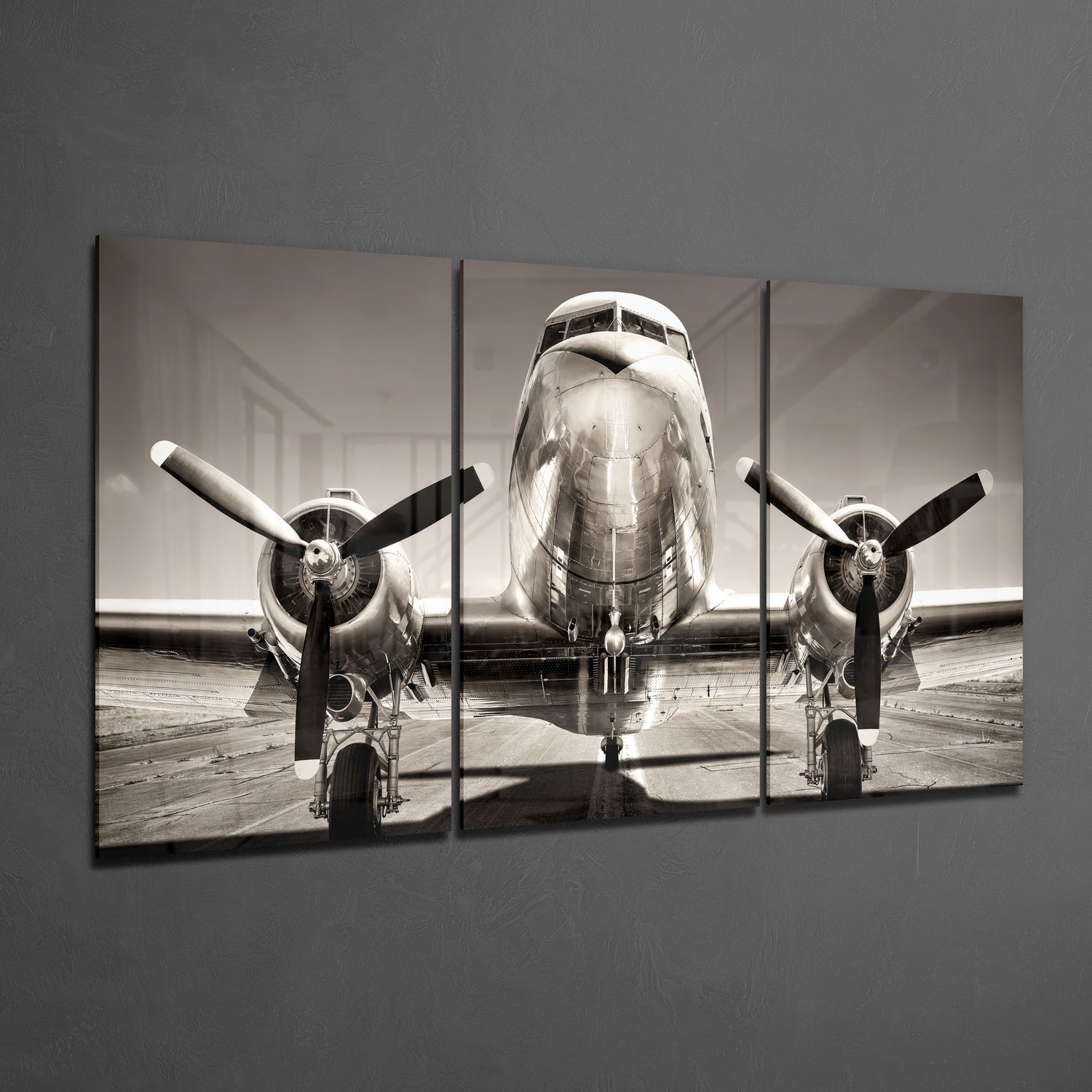 Plane Mega Glass Wall Art