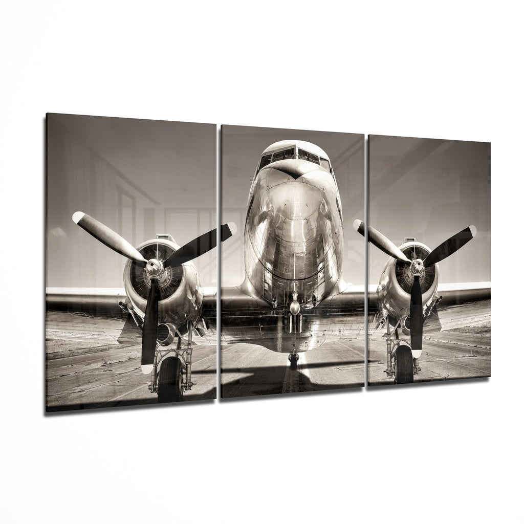 Plane Mega Glass Wall Art